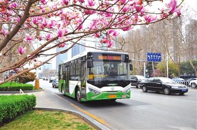 1月1日：園博動(dòng)物園公交直通車(chē)開(kāi)通，兩條線(xiàn)路優(yōu)化調整，一條線(xiàn)路恢復運營(yíng)，增設1處站點(diǎn)