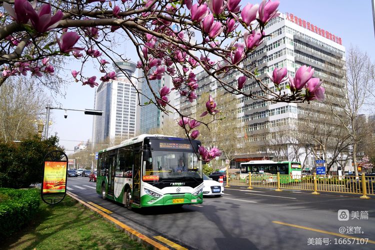 邯鄲公交車(chē)長(cháng)的暖心舉動(dòng) 為城市文明再添溫暖
