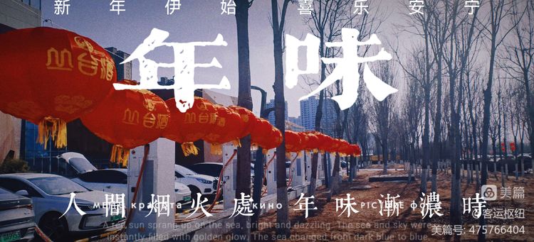 張燈結彩換新顏 年味濃郁迎新春