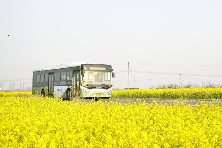 邯鄲公交：路遇三輪車(chē)側翻 車(chē)長(cháng)飛奔下車(chē)救助